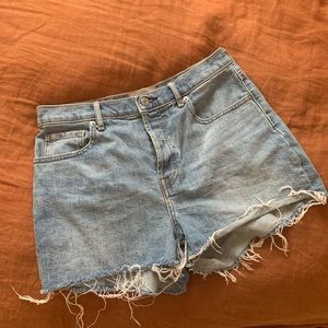 Everlane The Cheeky Denim Short
